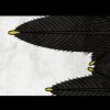 Thumbnail of related posts 015